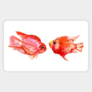 Parrot Cichlids fish home decor Magnet